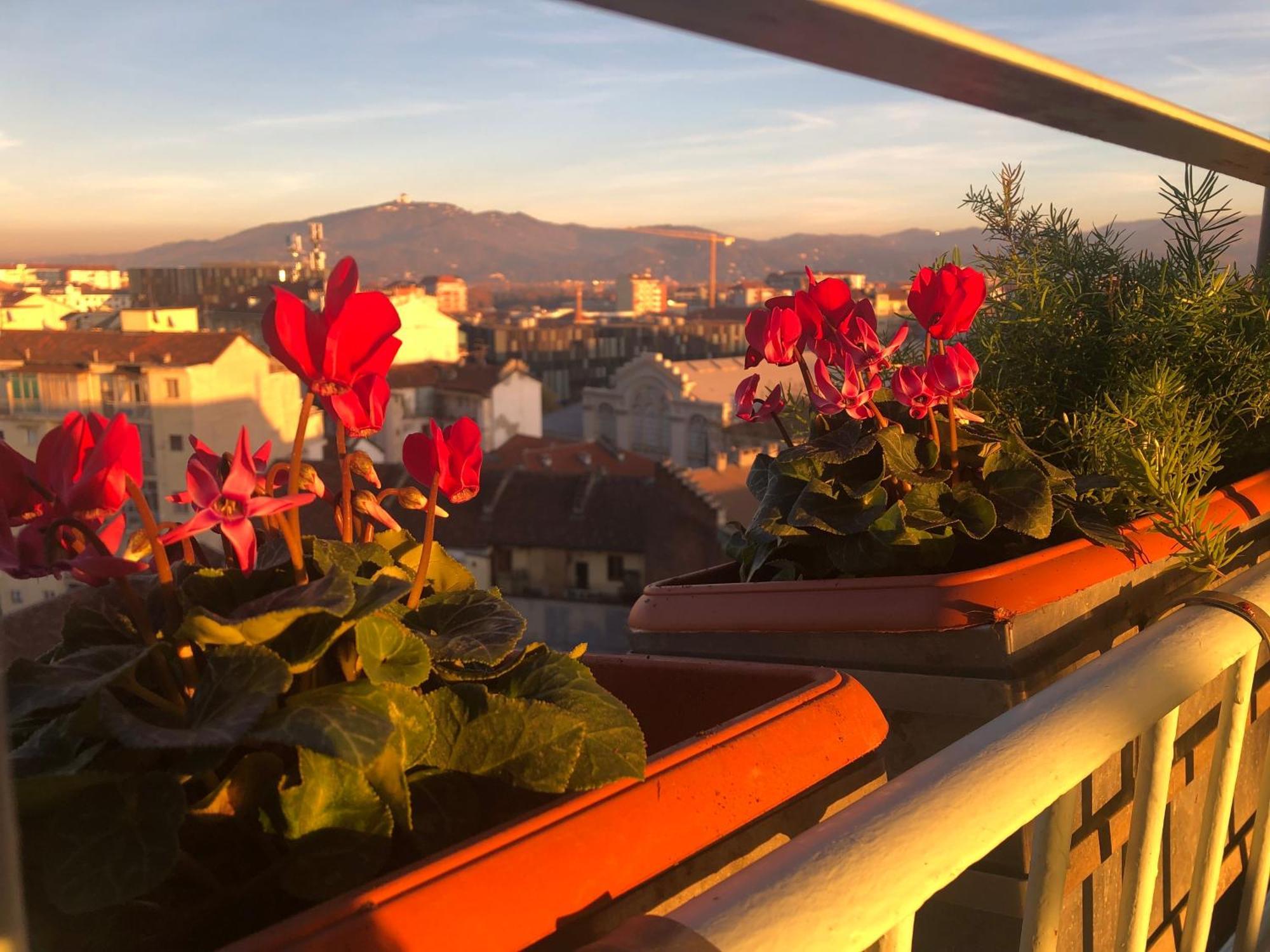 Attico Ellen Terrazza Con Vista Lejlighed Torino Eksteriør billede