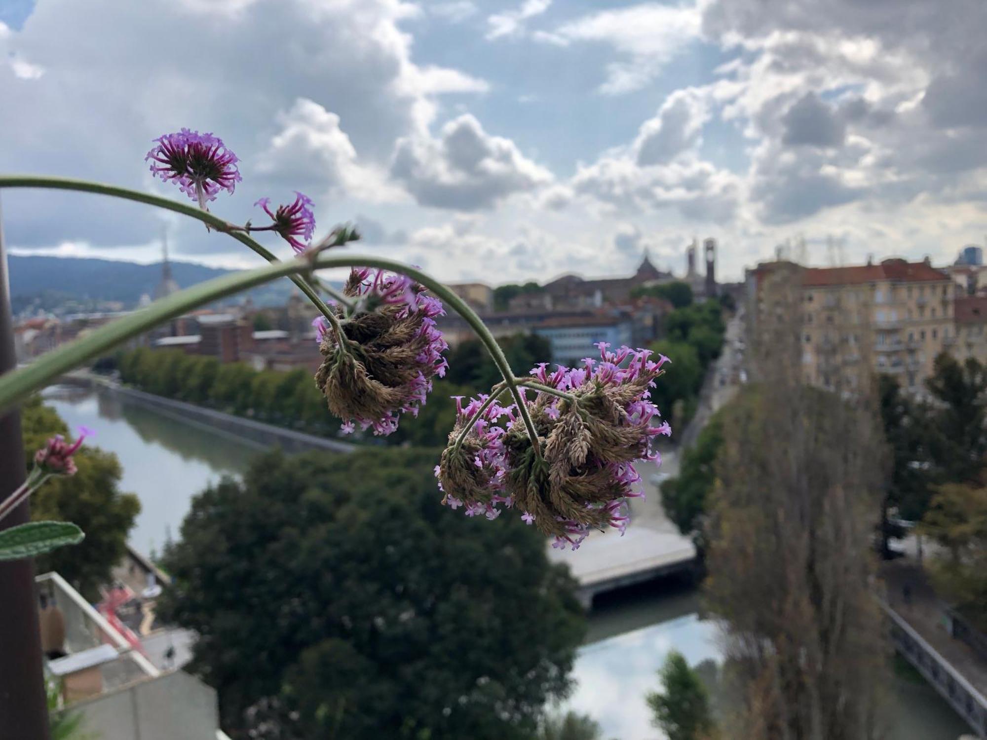 Attico Ellen Terrazza Con Vista Lejlighed Torino Eksteriør billede