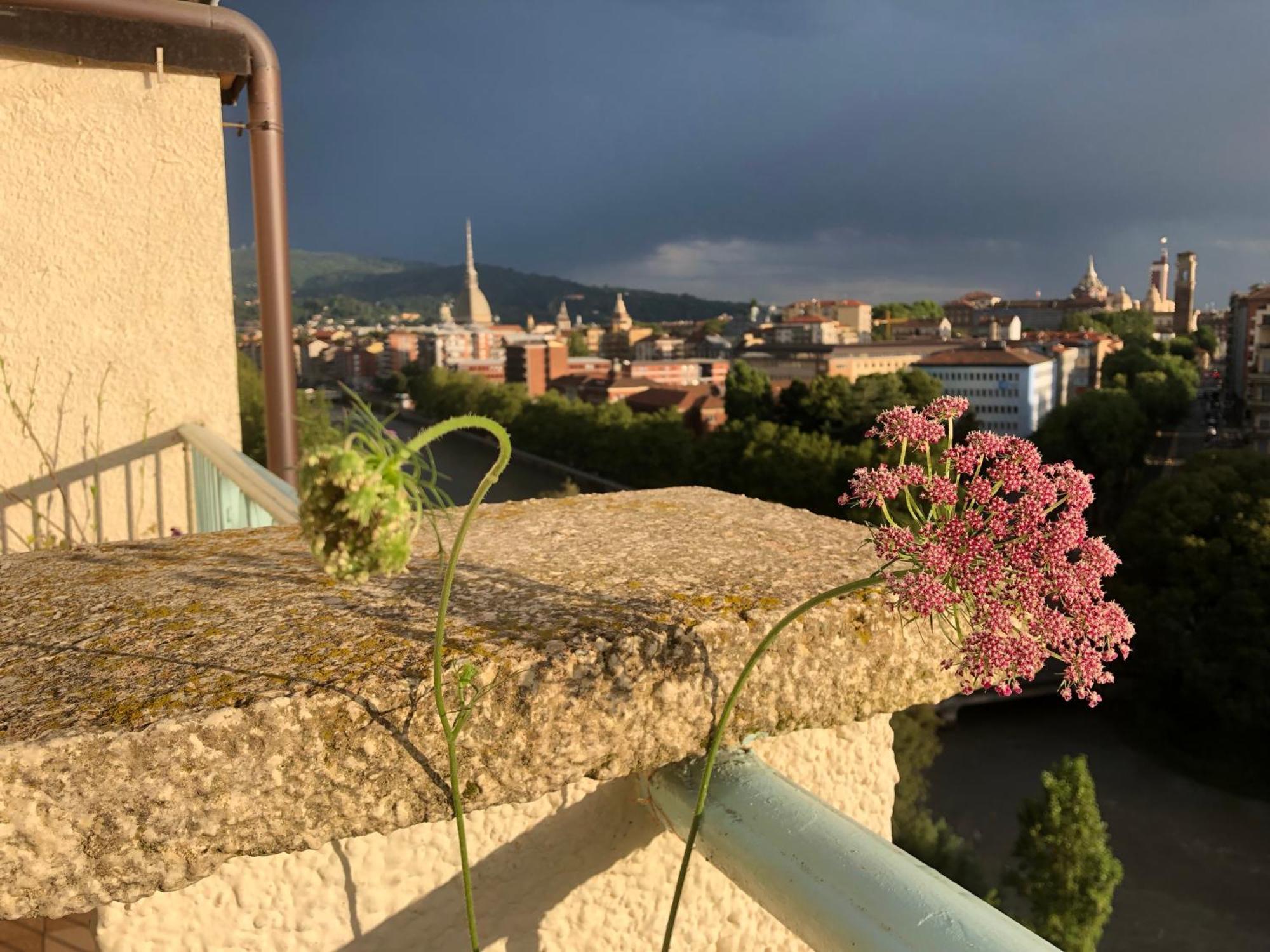 Attico Ellen Terrazza Con Vista Lejlighed Torino Eksteriør billede