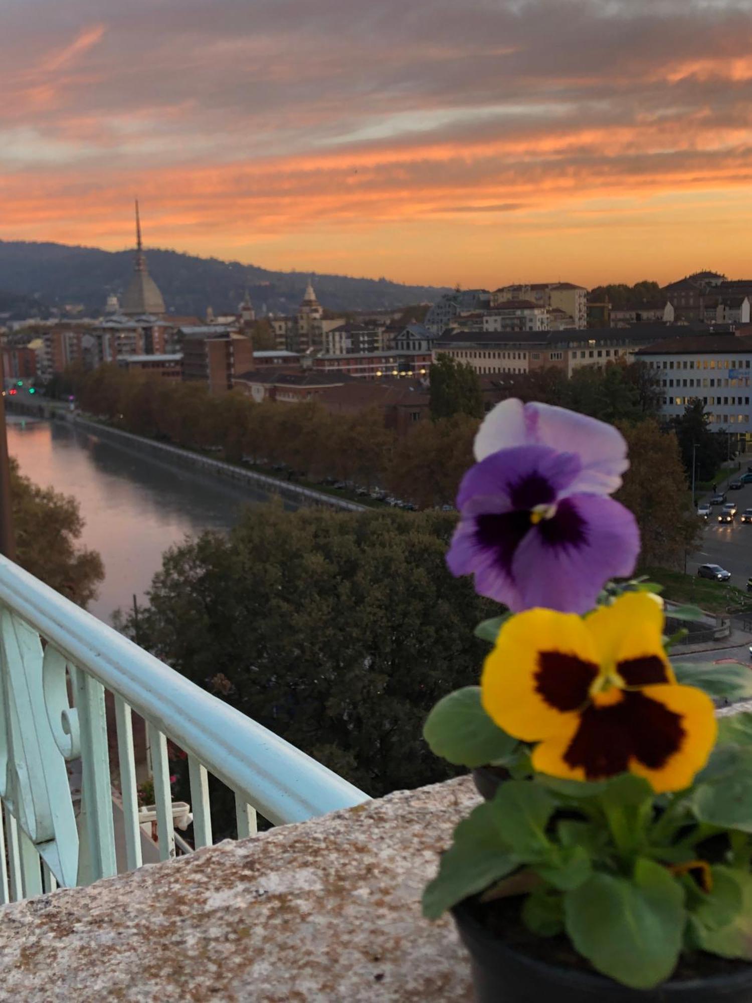 Attico Ellen Terrazza Con Vista Lejlighed Torino Eksteriør billede