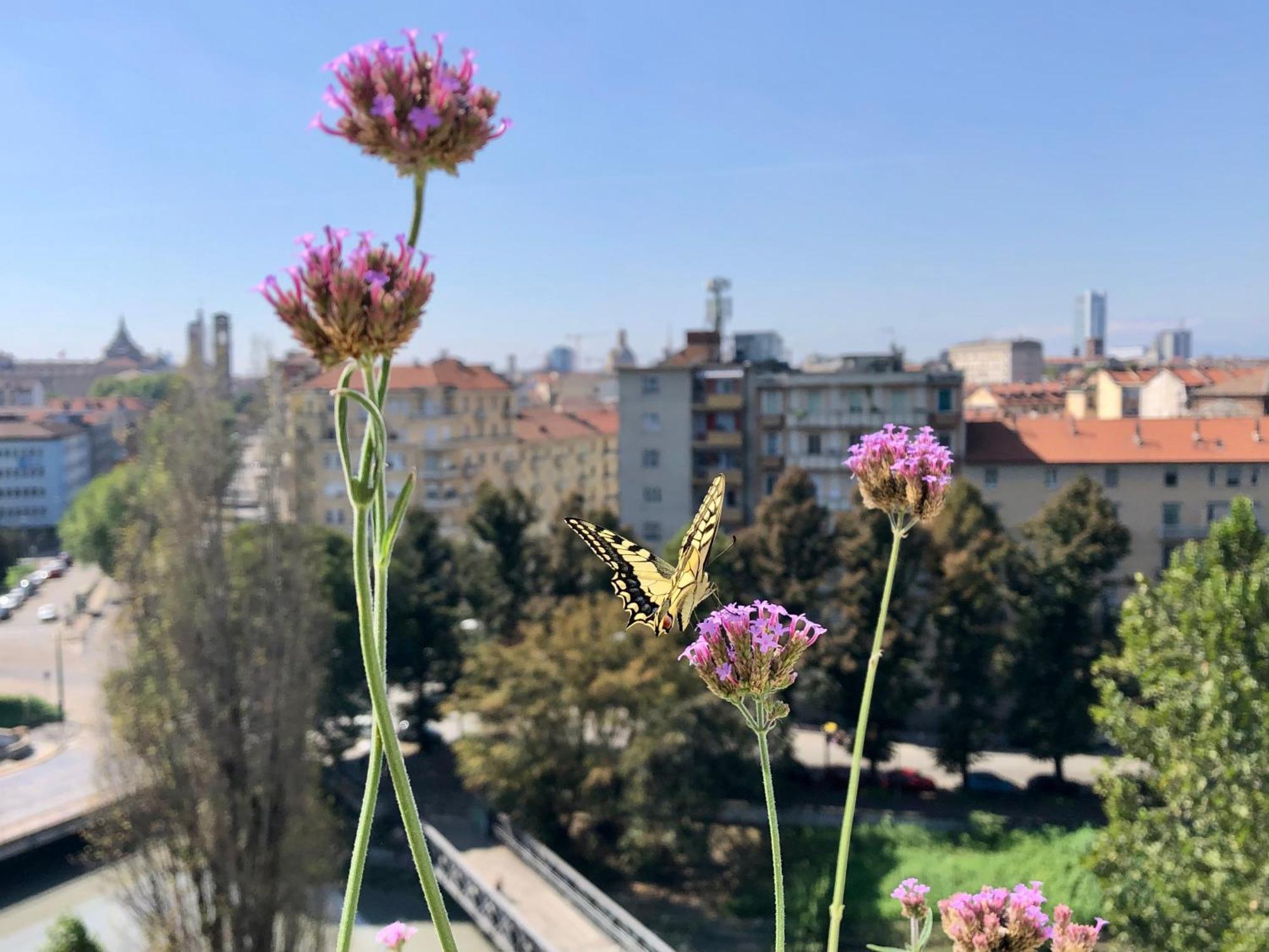 Attico Ellen Terrazza Con Vista Lejlighed Torino Eksteriør billede